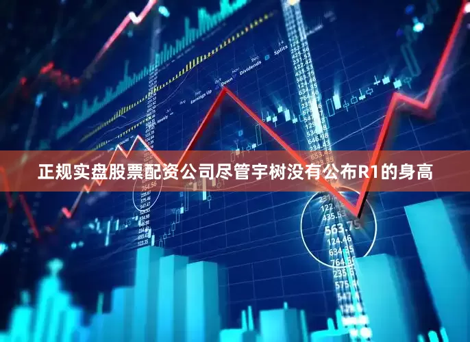 正规实盘股票配资公司尽管宇树没有公布R1的身高