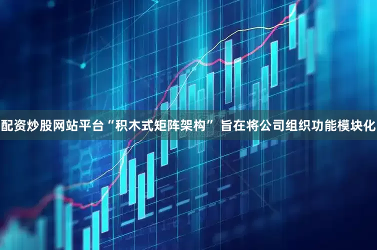 配资炒股网站平台“积木式矩阵架构” 旨在将公司组织功能模块化