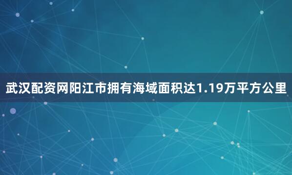 武汉配资网阳江市拥有海域面积达1.19万平方公里