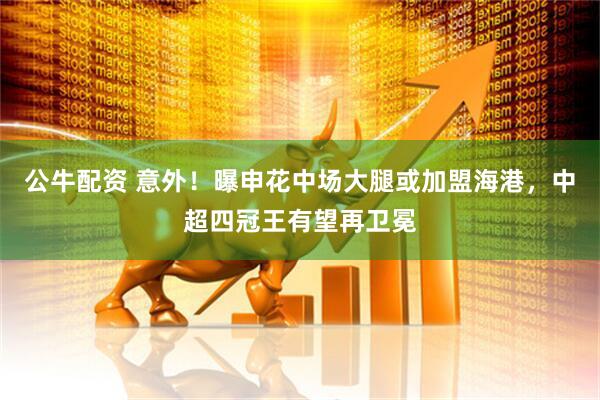 公牛配资 意外！曝申花中场大腿或加盟海港，中超四冠王有望再卫冕